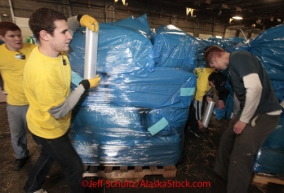 Thursday February 9, 2012   Iditarod volunteers including a large contingency of members of the 