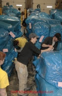 Thursday February 9, 2012   Iditarod volunteers including a large contingency of members of the 