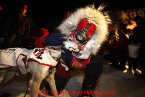 Aily Zirkle kisses one of her dogs after arriving in Nome right after Mitch Seavey on Tuesday March 12, 2013.Iditarod Sled Dog Race 2013Photo by Jeff Schultz copyright 2013 DO NOT REPRODUCE WITHOUT PERMISSION