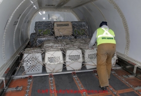 Saturday March 17, 2012    Alaska Airlines 