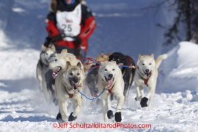 Sunday, March 4, 2012  Paul Gebhardt's team drops onto Long Lake at the restart of Iditarod 2012 in Willow, Alaska.