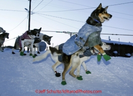 Sunday March 11, 2012  Kelly Griffin 's dog 