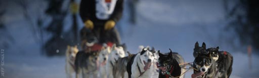 Iditarod Sponsors Iditarod Sponsors