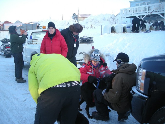 Kim Hinneman with Buser dog