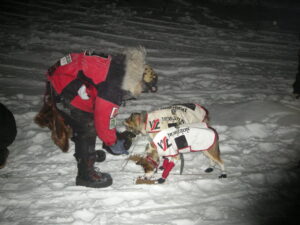 aliy feeds her dogs kibble dog food, note coats on all her dogs