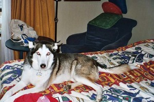 000_0621_0001