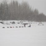Team approaches Nikolai on the Kuskokwim River.  Fish wheel near shore.