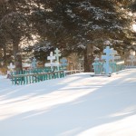 Nikolai Cemetary - Spirit Houses