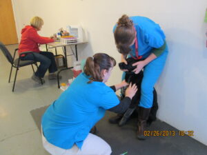 Note Kara collecting sample, Nicole standing, and Kay in background filing data