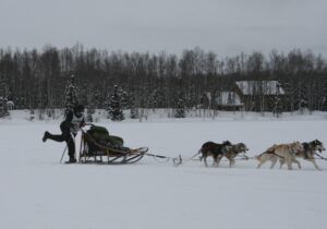 Noah Pereira crossing Willow Lake at the 2013 Jr. Iditarod.