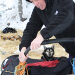 Cindy Abbott tests the driving bow with Drool in the background