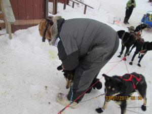 Mike reboots his team dog who has become proficient at removing boots the moment he isnt looking