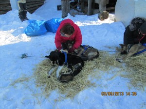 IMG_0326