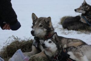 IMG_0349