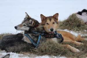 IMG_0351