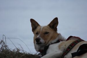 IMG_0354