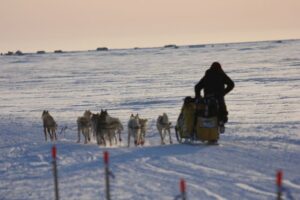 IMG_1431