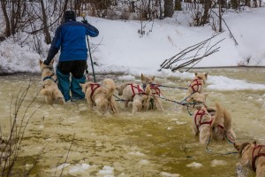 looks like jim lanier negotiating overflow ten miles short of iditarod. this great photo taken by Hideo Sato, a japaneese photographer traveling with super-cub pilot exrordinaire jay claus