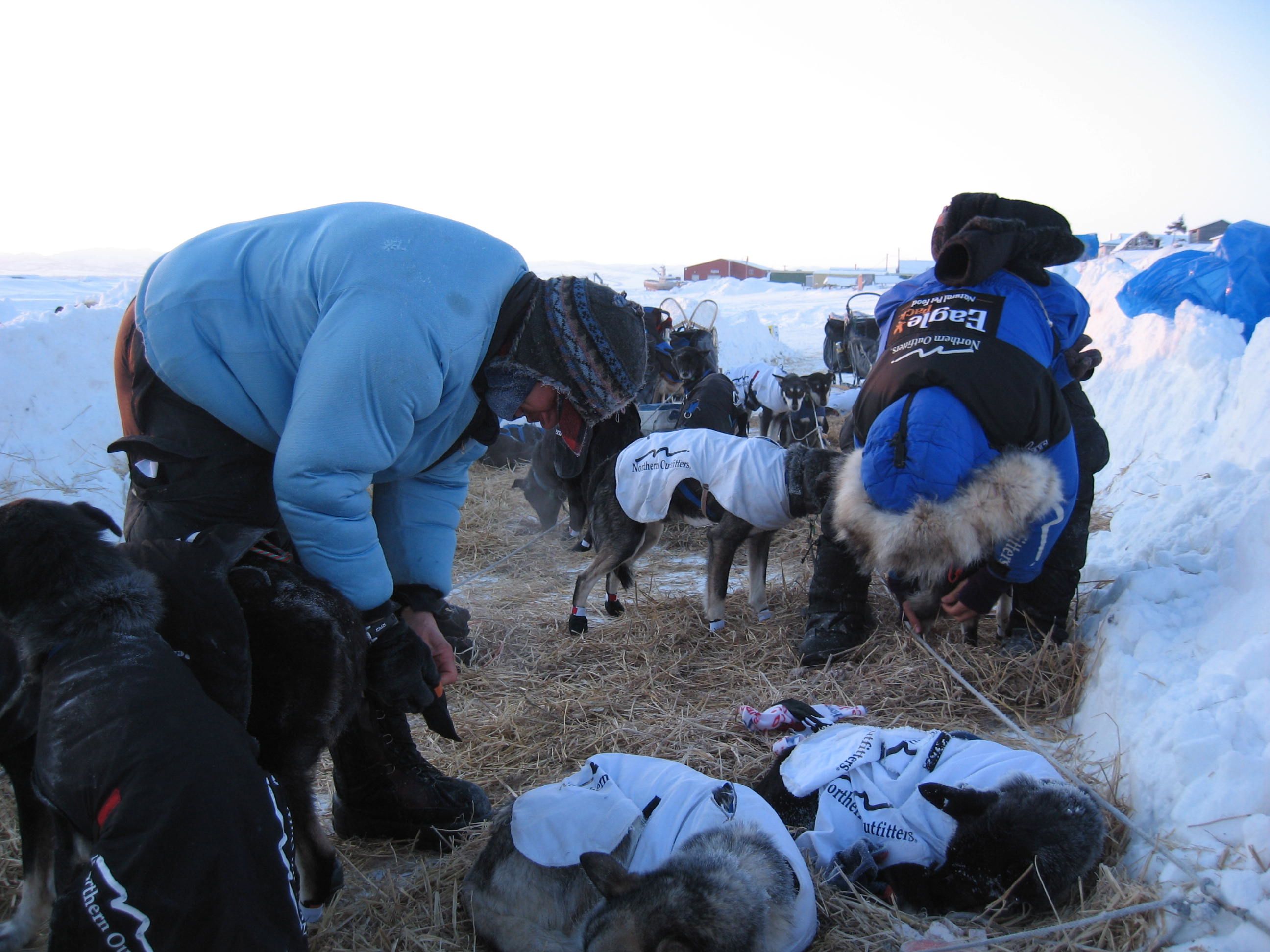 Meeting Of The Minds In Unalakleet Iditarod