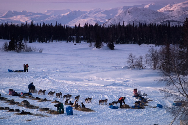 Finger Lake - Checkpoint - 2013 Iditarod - Iditarod