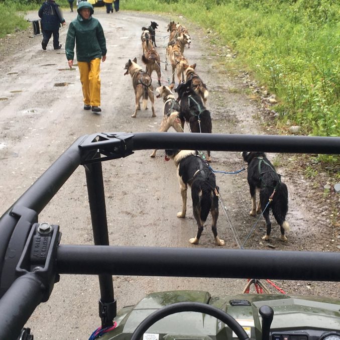 Dog Team Hitches and Math Iditarod